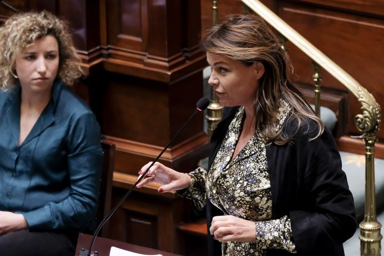 Politica Goedele Liekens in het Vlaamse parlement  Beeld BELGA