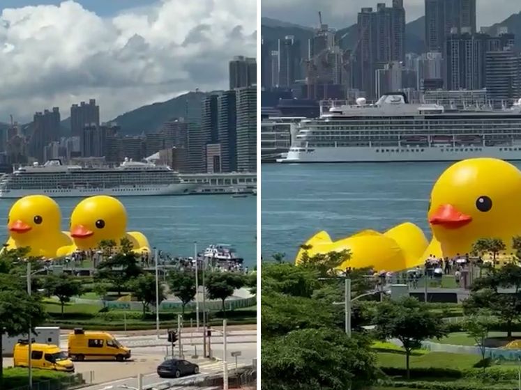 Gigantische gele badeend van Arnhemse kunstenaar loopt leeg in Hongkong