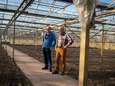 Kassen Huissen maken plaats voor woningen