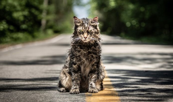 'Pet Sematary'