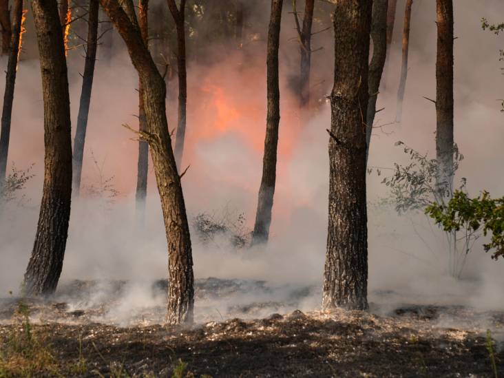 Vijf brandhaarden tussen Bakel en Aarle-Rixtel onder controle, vermoedelijk sprake van brandstichting