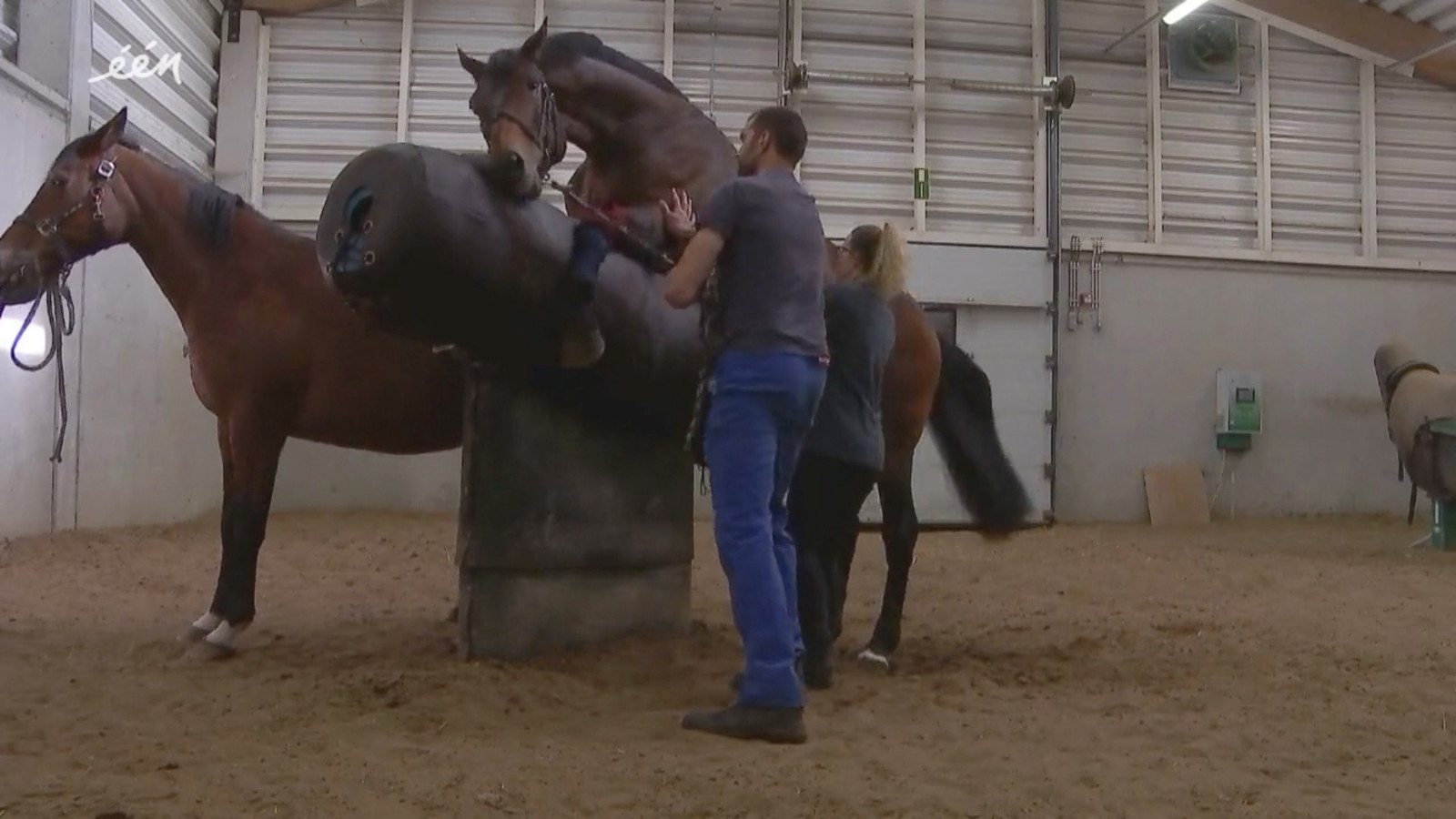 De gentse dierenkliniek uit dierendokters 24 7 is geliefd bij s