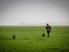 Jagers in Flevoland nemen nieuwe opzet wildbeheer provincie op de korrel: ‘Dit kan helemaal niet’