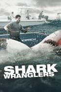 boxcover van Shark Wranglers