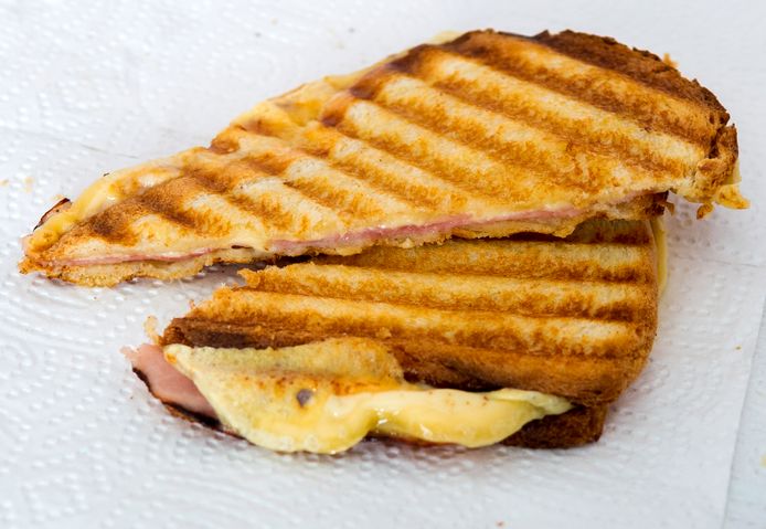 Tosti. Foto ter illustratie.