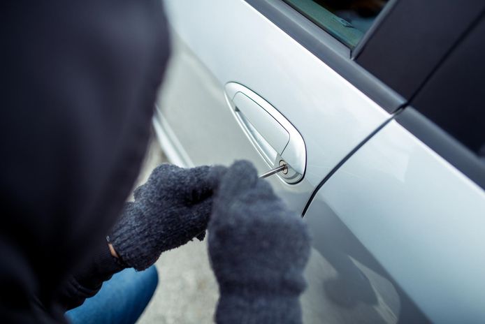 legering Ervaren persoon paperback Dieven gaan aan de haal met auto-onderdelen, een muziekinstallatie en  etenswaren | Lanaken | hln.be