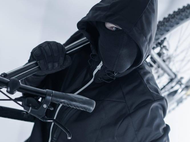Fiets gestolen uit garage
