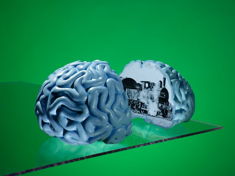 L’intelligenza artificiale aiuta a leggere il tuo cervello