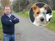 Jogger steekt hondje dood voor ogen van zijn baasje: “Dribbel deed geen vlieg kwaad”