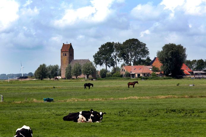 Het uitgestrekte Friese landschap