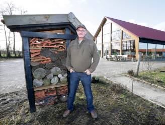 Bijen sterven massaal, maar niet bij deze imker in Strijbeek: hoe kan dat?