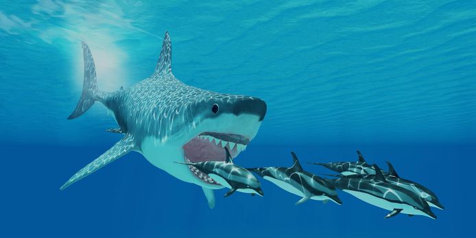 Een artistieke impressie van de megalodon.