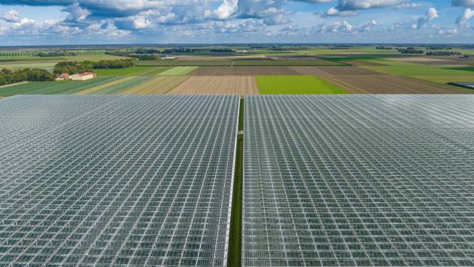 Afhankelijkheid van Chinese zonnepanelen zorgt voor ongemak in Duitsland