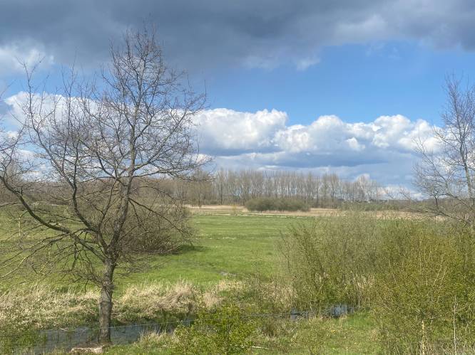 Avondwandeling in Webbekoms Broek op 7 juni