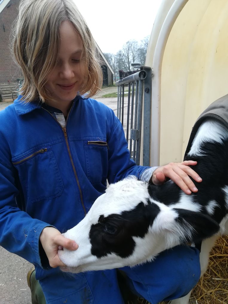 Marieke Lucas Rijneveld met adoptie-kalfje Werther Charlie. Beeld -