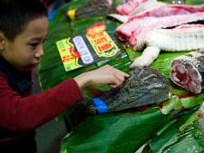 Een kijkje op de ‘culinaire horrormarkt’ van Wuhan