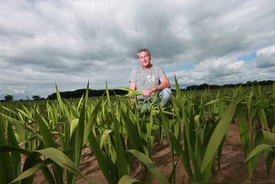 De dood voor de gladiolen van boer Jos in Steenderen
