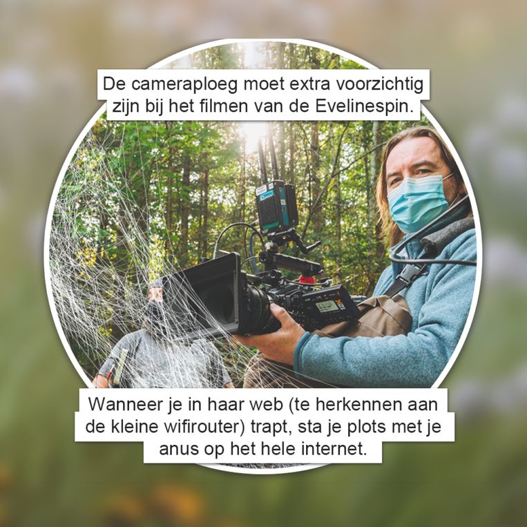 Gat van de wereld Beeld GVDW
