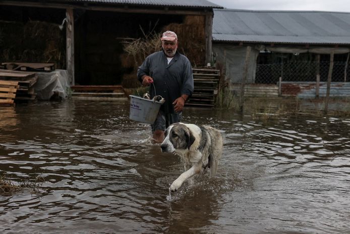 Een boer met een emmer vol pups van zijn hond op de vlucht uit een overstroomd gebied.