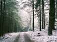 WEERBERICHT. Komende twee weken geleidelijk kouder: “Op hoger gelegen plaatsen in Ardennen neemt kans op wat sneeuw toe”