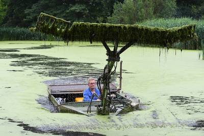 Vissen in vieze Graafse vijver leggen massaal het loodje