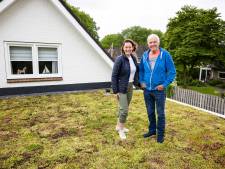 Pouw bekent kleur in Lemele: aanjager van groene daken wil voorbeeld zijn voor heel Ommen