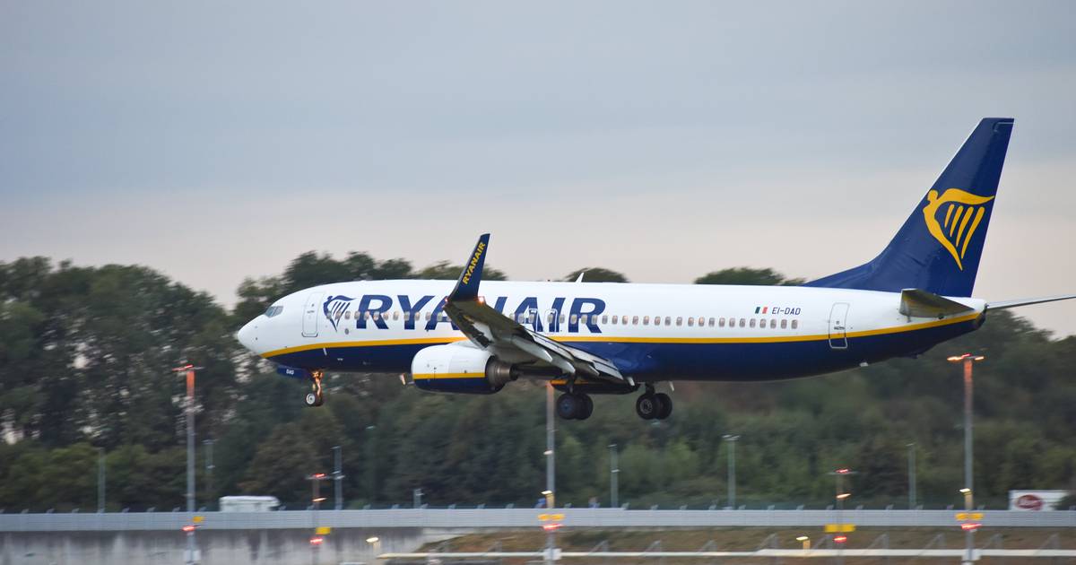 Забастовка бортпроводников Ryanair в новогодние выходные: могут быть отменены 107 рейсов, пострадали 19 000 пассажиров |  Новости ВТМ в Instagram