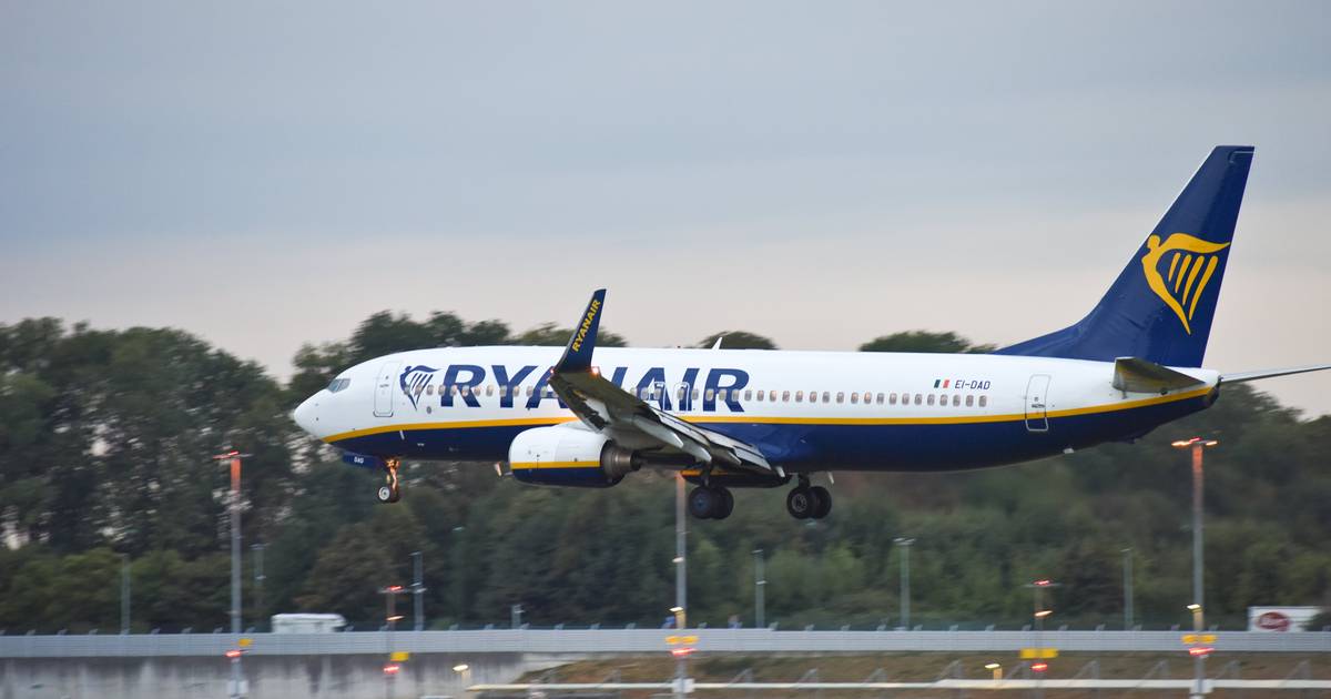 Sciopero dell’equipaggio Ryanair nel fine settimana di Capodanno: 107 voli potrebbero essere cancellati e 19.000 passeggeri interessati |  Notizie VTM di Instagram