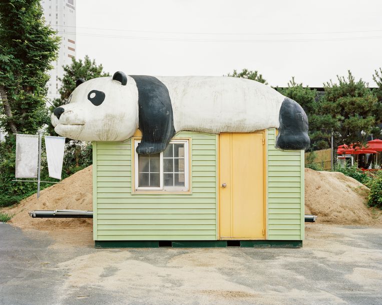 Zuid-Koreanen zijn dol op panda’s. In entertainmentpark Everland kun je ze in levenden lijve aanschouwen.  Beeld Seunggu Kim/INSTITUTE