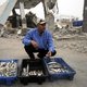 VN benoemt Cammaert om Gaza-oorlog te onderzoeken