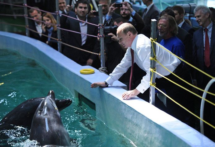 Archieffoto: Vladimir Poetin met dolfijnen in 2013.