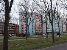 Ontwikkeling studentenflat Van Hasseltlaan Delft ligt stil na klachten van omwonenden