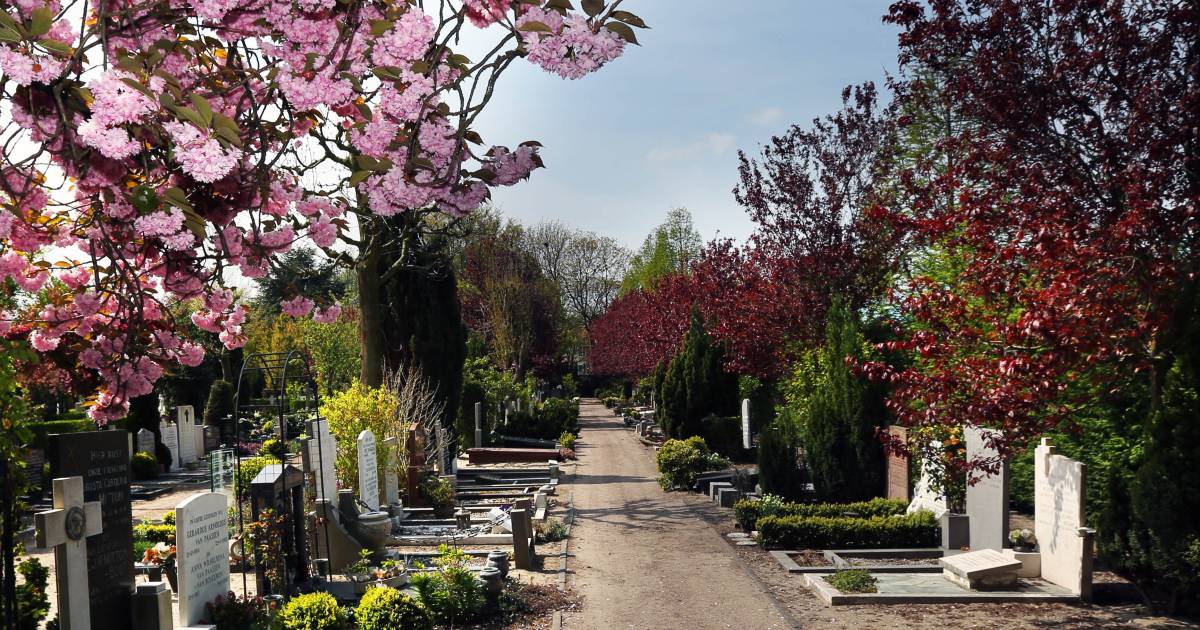 Haagse begraafplaats St  Barbara opent 2021 nieuw crematorium Den