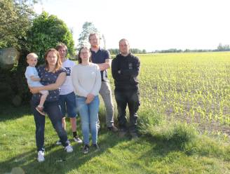 Izegem schrapt plannen voor bedrijvenzone op wijk De Mol: “Inrichting vormt belemmering voor Ventilus-tracé op die locatie”