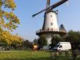 De geplande Buitenspeeldag aan de Roomanmolen (foto) in Sint-Pauwels gaat niet door