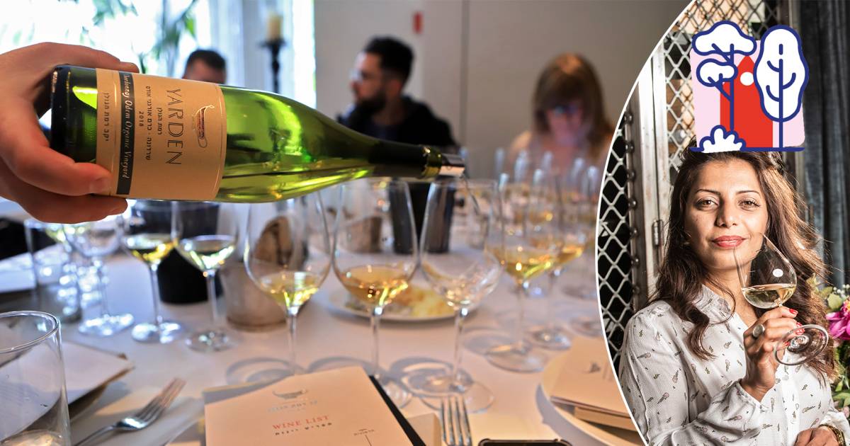 hoe vol mag je een wijnglas schenken sepideh maakt van jou de beste thuissommelier wijndossier hln be