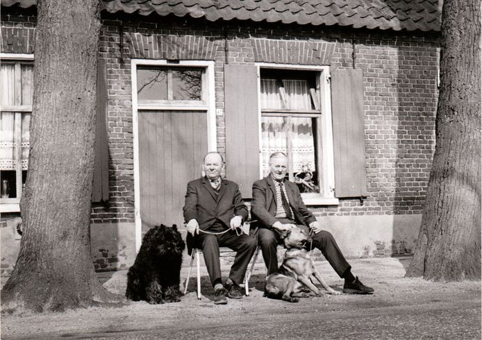 De Gebroeders Jan en Janus van Gerwen uit Best (1984).