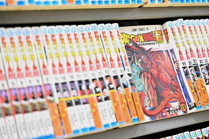 Bookshelf in Tokyo.