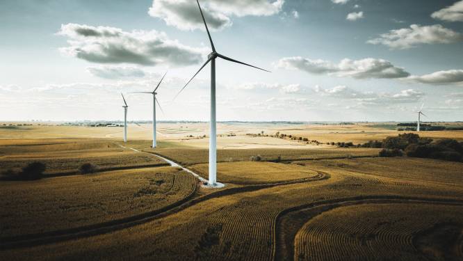 Raad van State zet streep door eerste windpark Oss: ‘Onbegrijpelijk dat dit twee jaar moest duren’