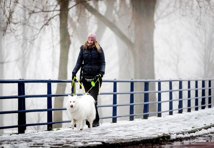 Een vrouw laat haar hond uit in de sneeuw.