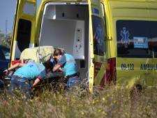 Baby geboren op snelweg A12: moeder en kind maken het goed