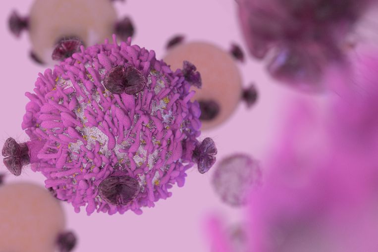 Een T-cel, die na modificering kankers kan aanvallen. Beeld Thinkstock