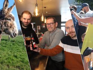 Wat te doen in Waas en Dender dit weekend: van kroegentocht in Sint-Niklaas tot ezeltjes aaien in Sint-Gillis-Waas