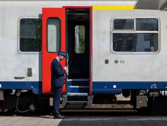 Zwartrijder deelt klappen uit aan conducteur: drie jaar cel 