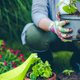 Zó lang moet je per dag in de tuin doorbrengen voor een goede gezondheid