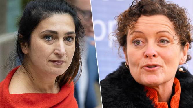 Vlaamse ministers Peeters en Demir naar New York voor VN-waterconferentie: “Vooral een marketingstunt om hun losseflodderbeleid op te poetsen”, zegt Mieke Schauvliege 