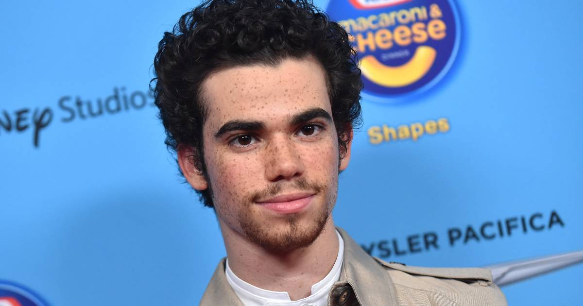 20 Jarige Disney Acteur Plots Overleden Show Ad Nl