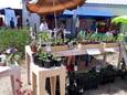 Op zondag 9 juni is er de jaarlijkse Bio Ecomarkt aan Ter Walle.