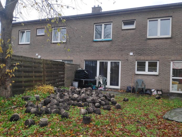 In de tuin liggen de restanten van de wietplantage.