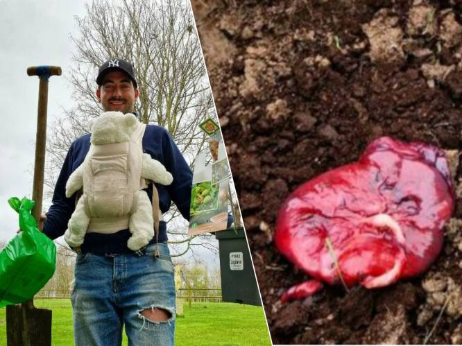 Aardappelboer Kim uit ‘Boer zkt vrouw’ begraaft placenta van zoontje Nil